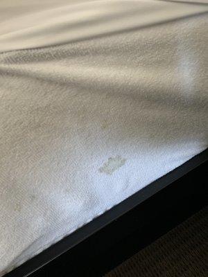 Mattress protector