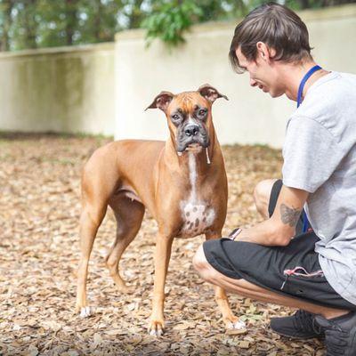 Our pups have a great time in daycare and boarding with our loving staff.