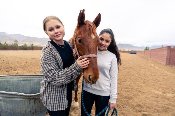 Equine Therapy