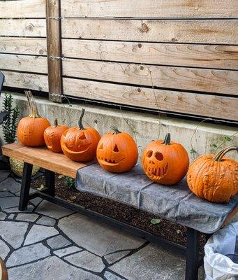 Sauvie Island Farms