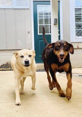 Charlie & Murphy at the resort