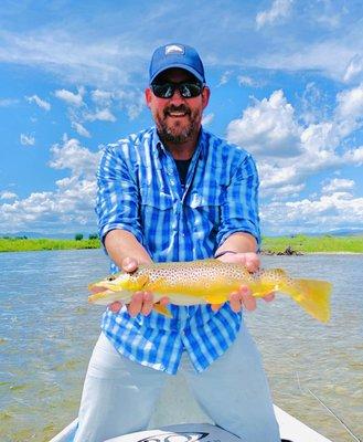 Lower Madison Brown Trout