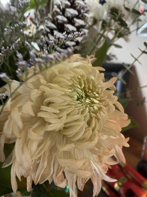 A browning spider mum.