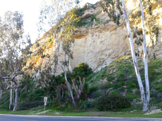 surrounding bluffs