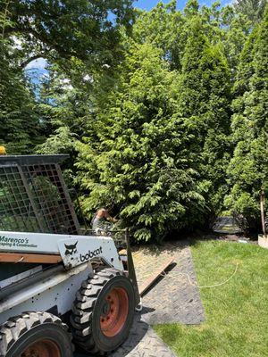 Landscaping Services in Revere, MA