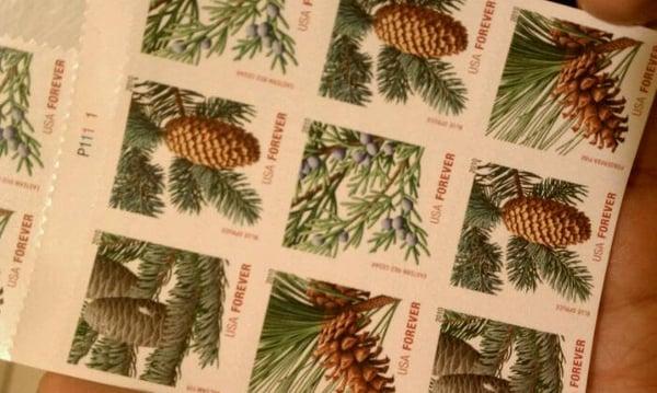 Forever Holiday Evergreen stamps.