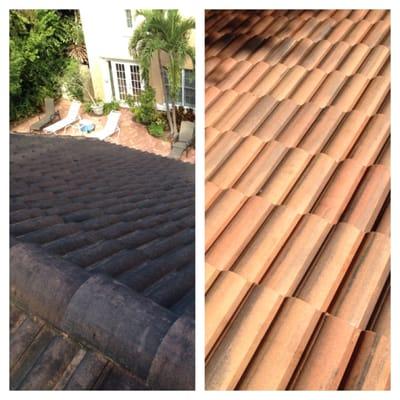 Tampa Bay Pressure Washing, Roof Cleaning and Paver Sealing Service