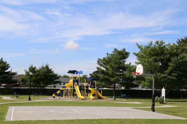 Dilly Dally Basketball Court and Full Size Play Set