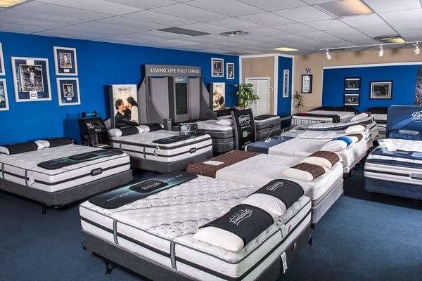 Beautyrest Mattresses in Lexington Kentucky at Wildcat Mattress.