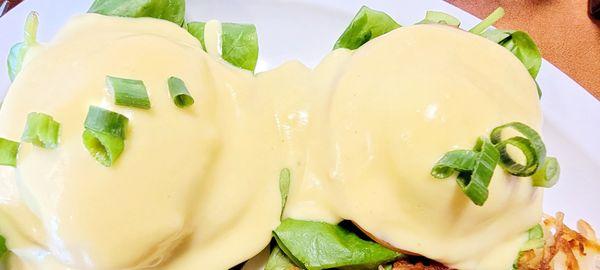 FLORENTINE BENEDICT