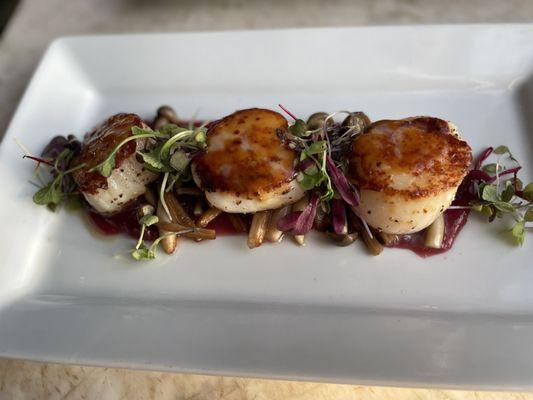 Scallops