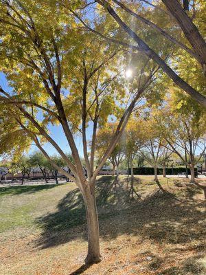 Gorgeous day in the park at 75 degrees.