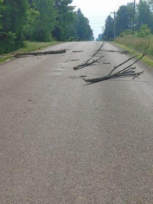 The tree that fell in front of me, I couldn't stop in time.