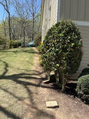 Flower bed, eroding bark mulch