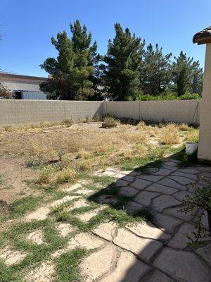 Weed removal in chandler Az and applying Pre-Emergent.