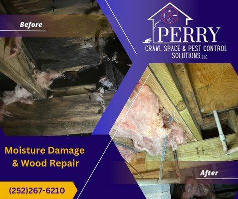 Crawl space moisture damage and repair.