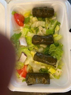 Stuffed Grape Leaves