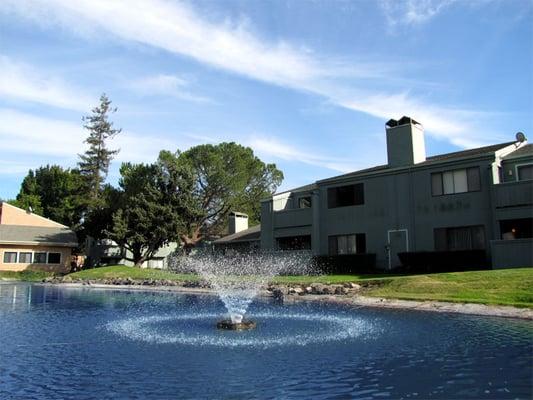 The amazing fountain at Laguna Park.