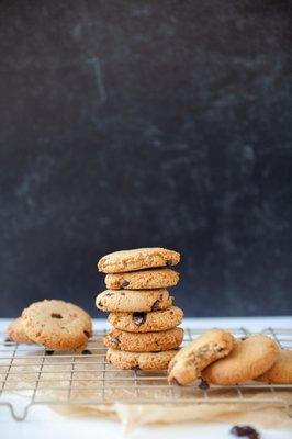 Paleo Chocolate Chip Cookies baked to perfection.