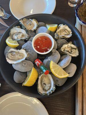 Fresh Oysters