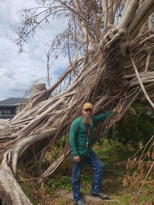 Hurricane Ian:
Banyan Tree