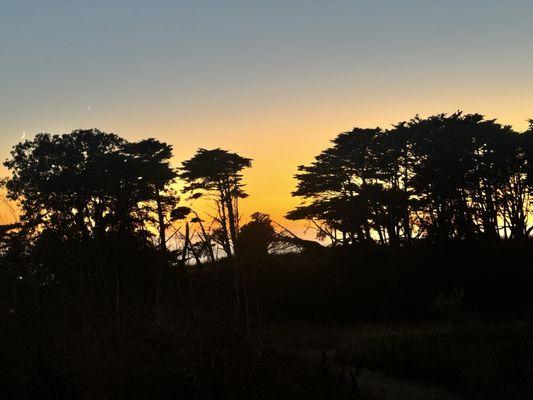 Knibb's Knob Hike To Summit Rd At Uvas Canyon County Park