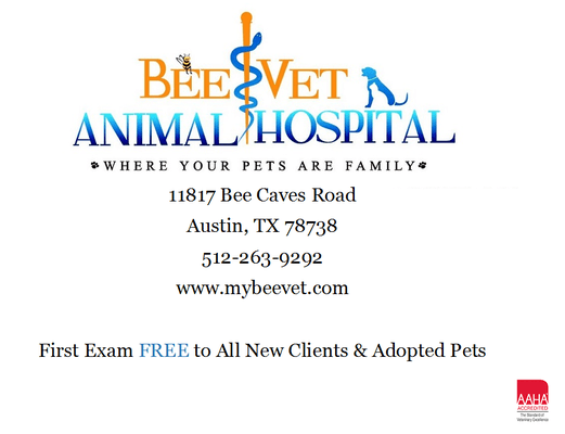 Complimentary Exam for New Clients & Adopted Pets!