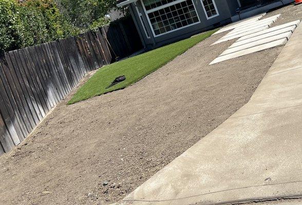 Artificial grass set with concrete stepping walkway to entrance of home