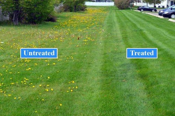 The difference in treating your lawn