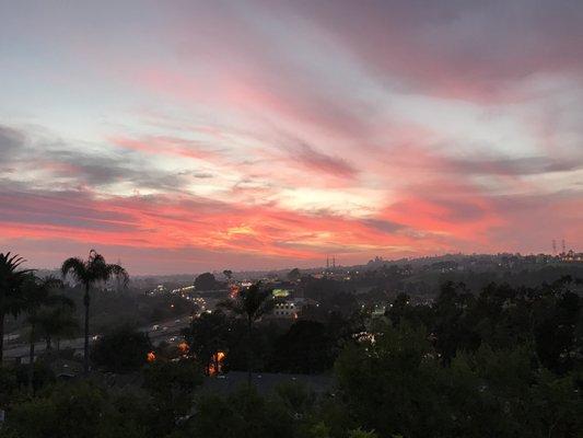 View from the backyard