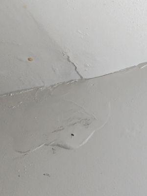 Damage to the ceiling in the bathroom due to the moisture.