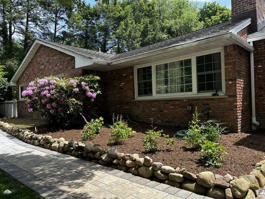 Front foundation perennial planting