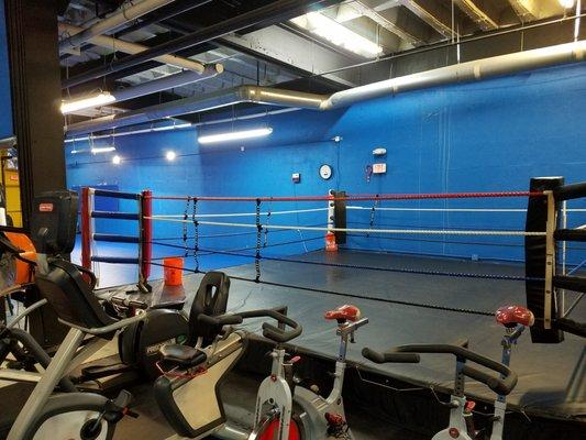 Muay Thai ring and Cardio Equipment