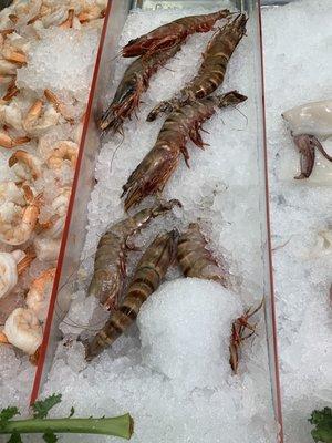 Insanely large shrimp. Look at the shrimp to the left for size comparison