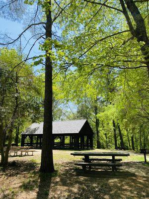 Picnic tables right near the visitor center and the parking lot