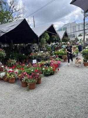 Plants and flowers galore!!!