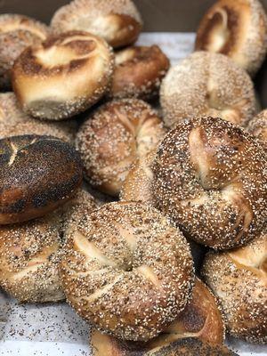 Everything bagels