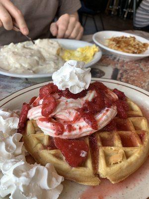 Alaskan waffle