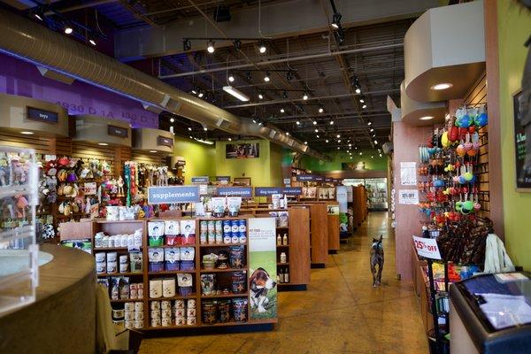 whole store tour featuring shop dog