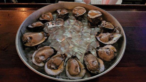 Raw Oysters