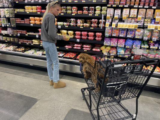 Dog friendly grocery store! Nothing is as Pavilions as dog butt in a shopping cart! Pretty cool.