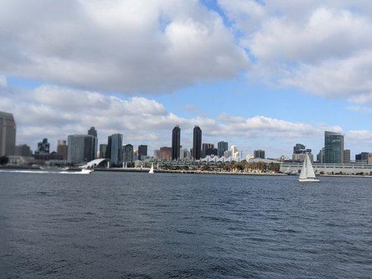 Skyline view, San Diego in February. Unbelievable weather.