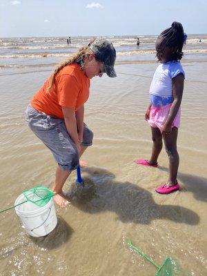 Catching Sea Critters