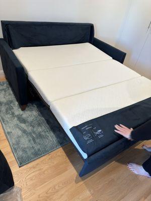 Queen Size Harris Sleeper. Perfect small scale for this San Francisco Condo.