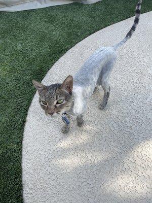 Vern after his shave at Miss Daisy's.