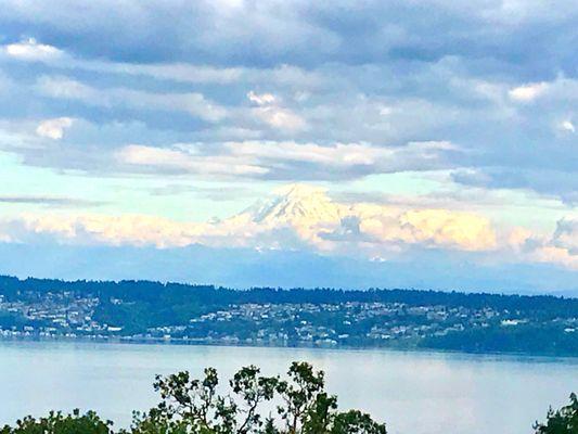 Looking across the bay at Mt. Rainier