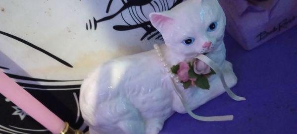 This adorable porcelain kitty!