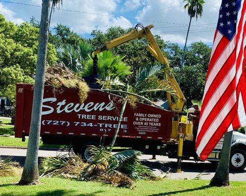 Stevens Tree Service Inc