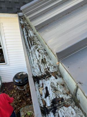 Gutter cleaning