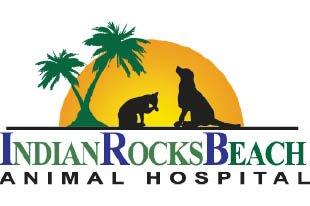 Indian Rocks Beach Animal Hospital